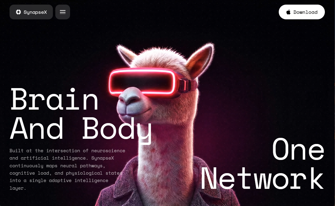 Aperçu du site SynapseX